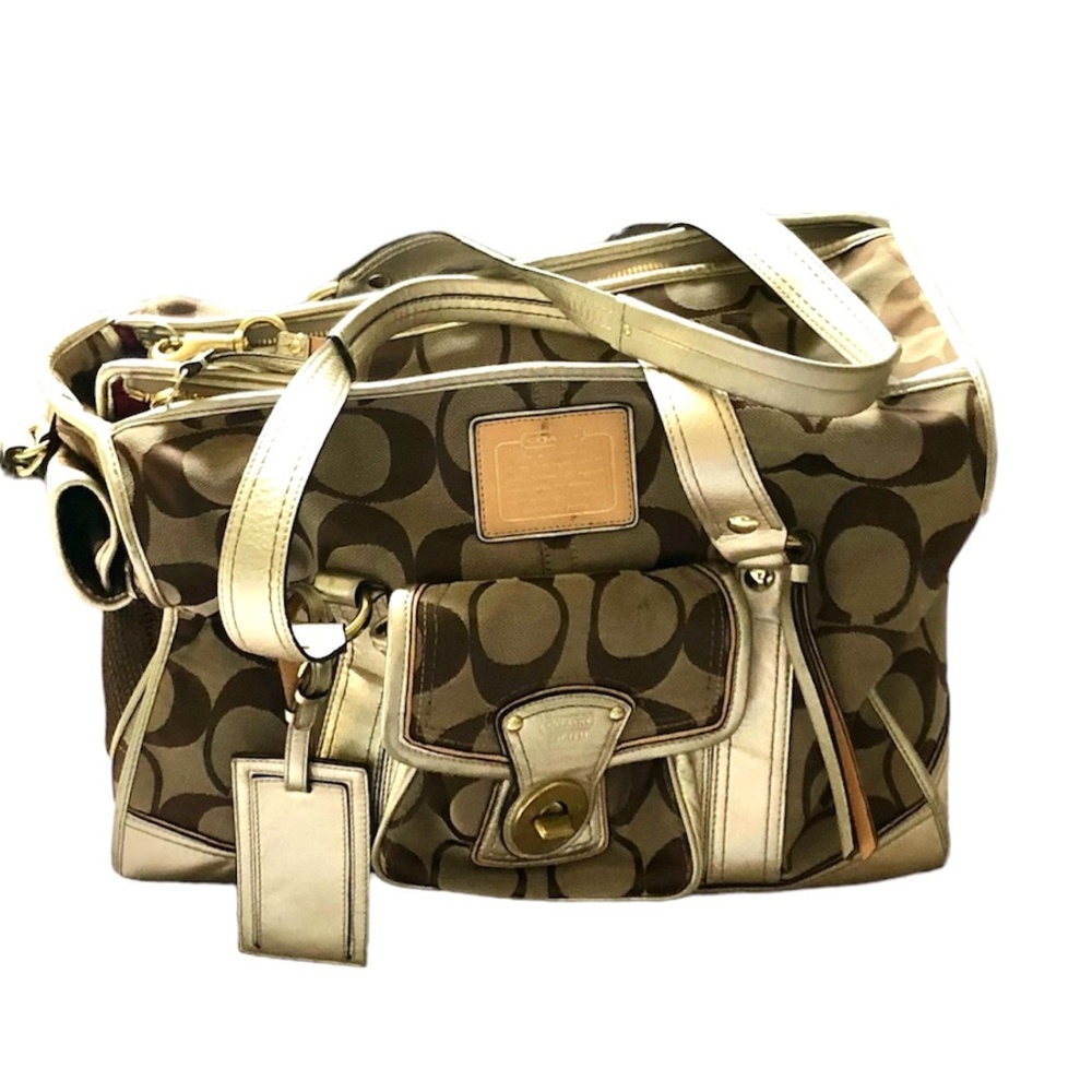 Coach dog or cat carrier bag